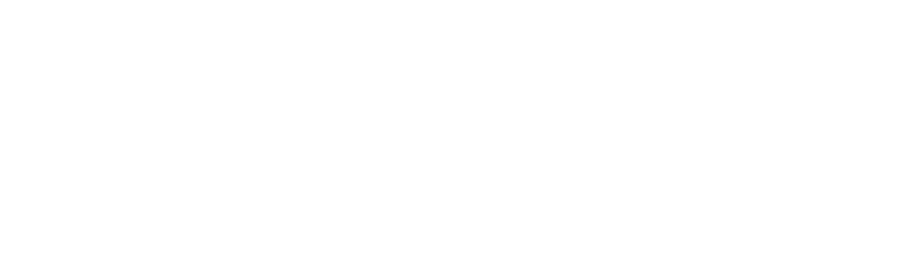 Header Image of Lasa